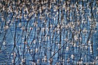 tegernsee-01-006
