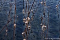 tegernsee-01-008