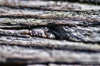 tegernseer-holz-002