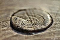 tegernseer-holz-004