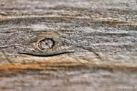 tegernseer-holz-006