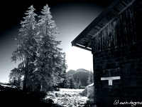 wallberg-tegernsee-003