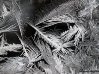 eiskristalle-001