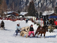 pferdeschlittenrennen-rottach-egern-004