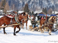 pferdeschlittenrennen-rottach-egern-005