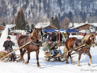 pferdeschlittenrennen-rottach-egern-017