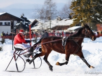 pferdeschlittenrennen-rottach-egern-021