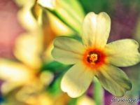tegernsee-04-053