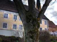 tegernsee-april-002