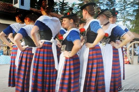 hirschbergler-waldfest-106