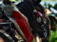 rosstag-rottach-egern-005