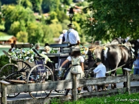 rosstag-rottach-egern-012