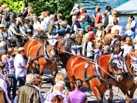 rosstag-rottach-egern-030