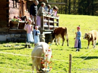 Almabtrieb Tegernsee - Wechselalm 15.10.2011