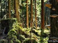 tegernsee-04-013